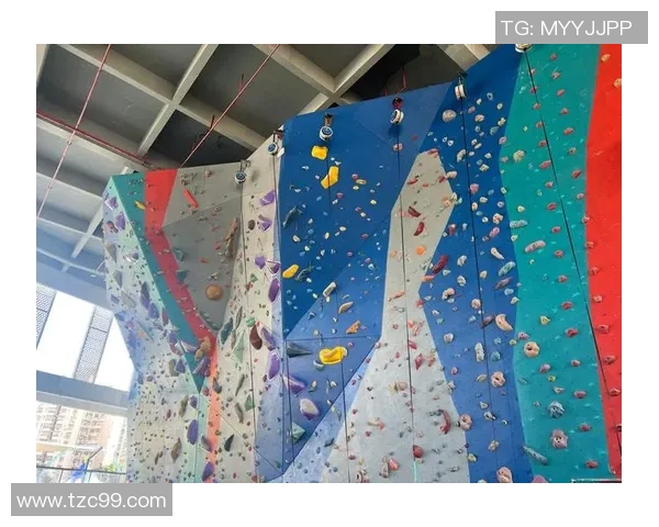 南京攀岩队的防反体系与攀岩战术的深度解析与实践探索