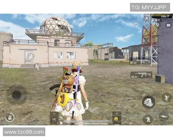 专访赵丽揭秘和平精英成功背后的故事与策略分析