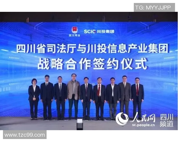 成都飞盘队个人能力分析与提升策略探讨之路